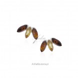 Silver jewelry with amber - silver earrings
