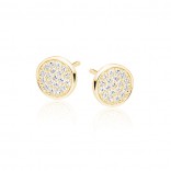 Silver gilded earrings with cubic zirconia