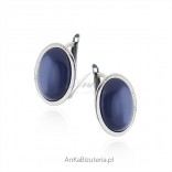 Silver earrings with navy blue utyythe on English clasp.
