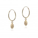 Silver gold-plated earrings with circles