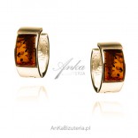 Gold-plated silver earrings with WHEEL amber