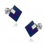 Silver earrings with titanium squares