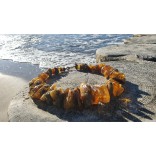Jewelery from nature - Beads with natural Baltic amber - UNIQUE