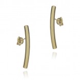Silver earrings with gold-plated tubes