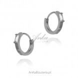 Silver earrings small circles with white zircon